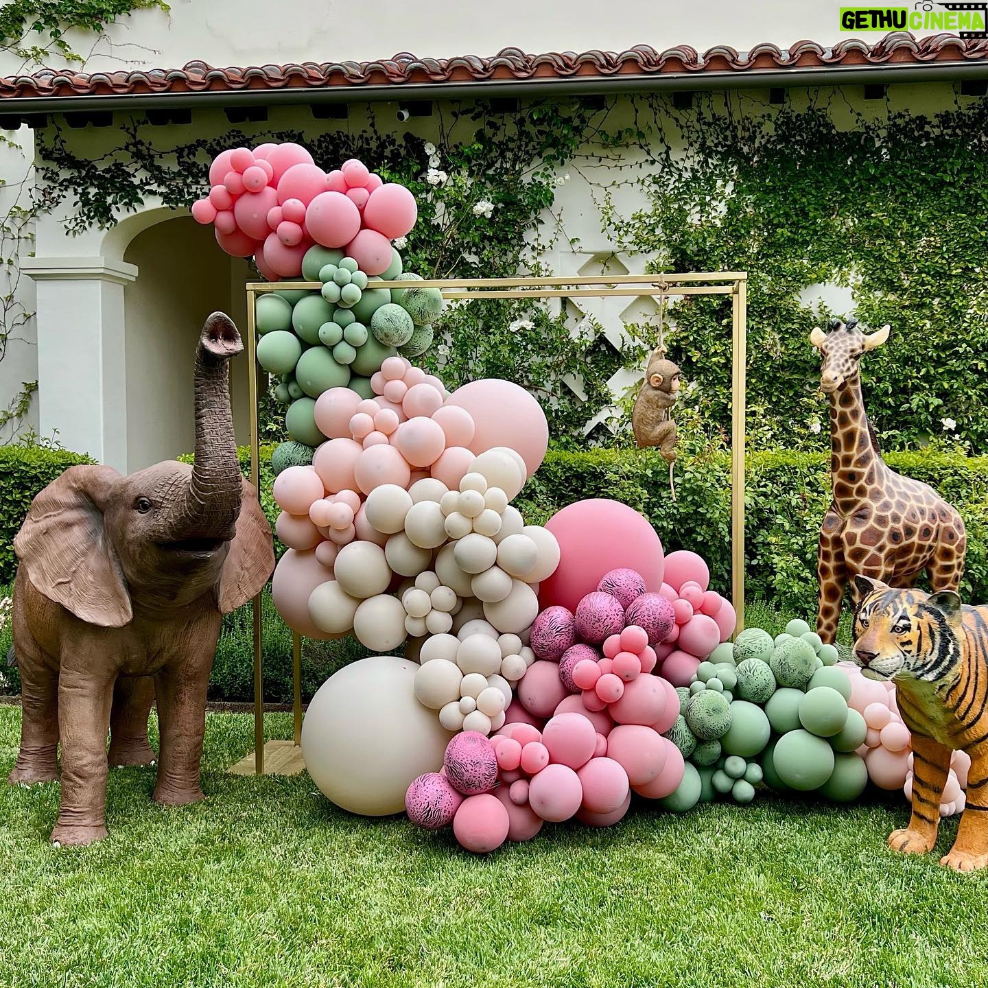 Dhar Mann Instagram - We had a wild time celebrating Ella Rose and Myla Sky’s birthdays 🎂🎉 We threw them a joint animal themed birthday for Ella being TWO Wild and Myla being the Wild ONE 🐪🐾 They may be too young to ever remember this paw-ty but it was an adventure that we’ll never forget 😍