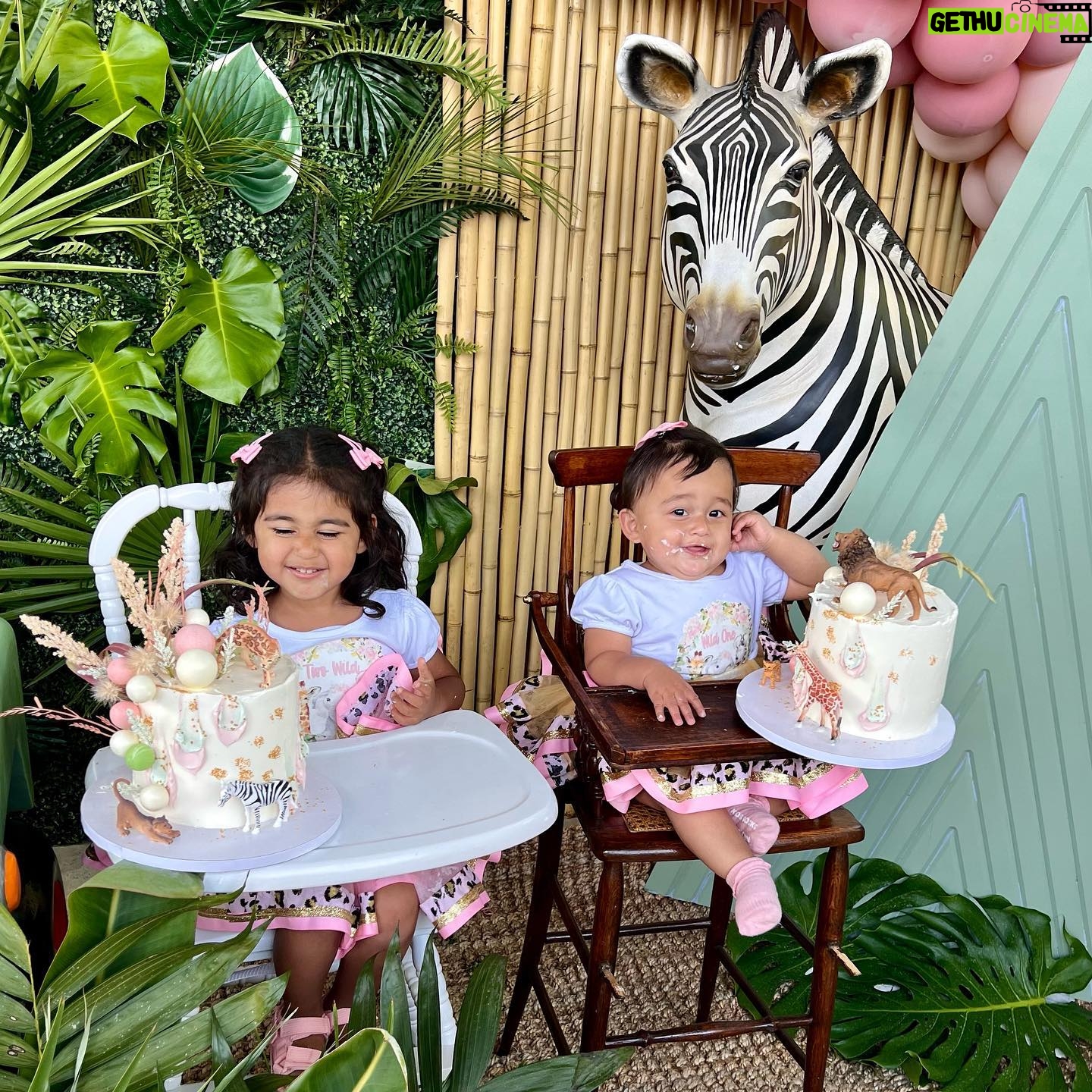 Dhar Mann Instagram - We had a wild time celebrating Ella Rose and Myla Sky’s birthdays 🎂🎉 We threw them a joint animal themed birthday for Ella being TWO Wild and Myla being the Wild ONE 🐪🐾 They may be too young to ever remember this paw-ty but it was an adventure that we’ll never forget 😍