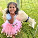 Dhar Mann Instagram - We had a wild time celebrating Ella Rose and Myla Sky’s birthdays 🎂🎉 We threw them a joint animal themed birthday for Ella being TWO Wild and Myla being the Wild ONE 🐪🐾 They may be too young to ever remember this paw-ty but it was an adventure that we’ll never forget 😍