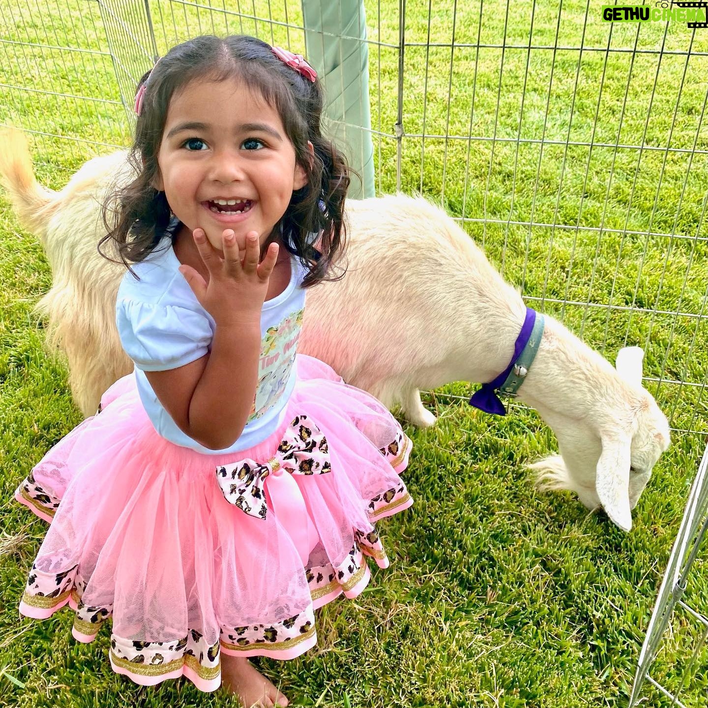 Dhar Mann Instagram - We had a wild time celebrating Ella Rose and Myla Sky’s birthdays 🎂🎉 We threw them a joint animal themed birthday for Ella being TWO Wild and Myla being the Wild ONE 🐪🐾 They may be too young to ever remember this paw-ty but it was an adventure that we’ll never forget 😍