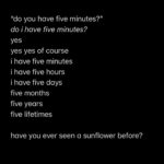 Diana Silvers Instagram - sunflower meditation sunflower mediation