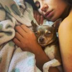 Diane Guerrero Instagram - Kira and Fizzgig 4 ever 💜