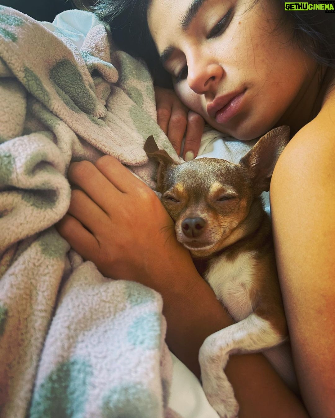 Diane Guerrero Instagram - Kira and Fizzgig 4 ever 💜