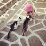 Diane Kruger Instagram - The biggest cat lover there ever was 🐈