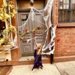 Diane Kruger Instagram – Papa ???
@bigbaldhead ❤️❤️❤️❤️ #itsbeenalonghalloweenweekend