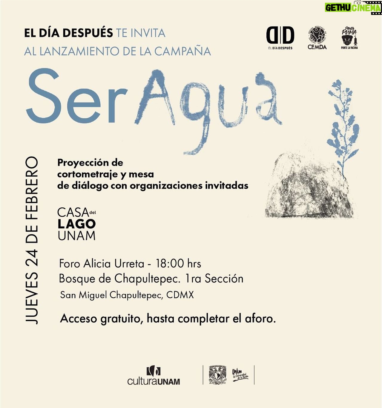 Diego Luna Instagram - Hoy lanzamos la campaña #SerAgua!! Gracias a todas las organizaciones que se han sumado a esta campaña, urge una reflexión en torno a nuestra relación con el agua. Súmense, entren a la página eldíadespués.mx para encontrar más información.