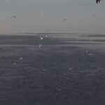 Diego Luna Instagram - Las #AreaNaturalesProtegidas de nuestro país siguen en riesgo. Cuidar estos espacios es evitar el colapaso de la biodiversidad. Nuestro futuro depende de lo hagamos. #salvemosconanp