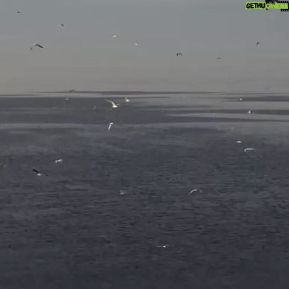 Diego Luna Instagram - Las #AreaNaturalesProtegidas de nuestro país siguen en riesgo. Cuidar estos espacios es evitar el colapaso de la biodiversidad. Nuestro futuro depende de lo hagamos. #salvemosconanp