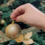 Dinah Moraes Instagram – Esse ano estou super empolgada com meu Natal e a COCA-COLA junto com o Felipe Amorim criou um jingle de Natal! Esse ano o Natal vai ser incrível! #natalcocacola #amagiaAcontece