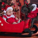 Dinah Moraes Instagram – Feliz natal meus seguidores! Este ano foi maravilhoso para mim, fui mãe pela segunda vez, e olha que bebê lindo Deus me deu! Sou uma mulher muito abençoada pois eu tenho duas riquezas dentro de casa! Nossos filhos são nossa assinatura no mundo. Desejo um Natal cheio de luz e muita paz para vocês! 🎄 🎅 muito obrigada a @megaphoto.ra que como sempre fazem um trabalho incrível!