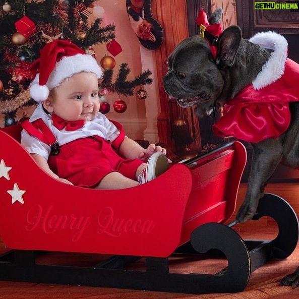 Dinah Moraes Instagram - Feliz natal meus seguidores! Este ano foi maravilhoso para mim, fui mãe pela segunda vez, e olha que bebê lindo Deus me deu! Sou uma mulher muito abençoada pois eu tenho duas riquezas dentro de casa! Nossos filhos são nossa assinatura no mundo. Desejo um Natal cheio de luz e muita paz para vocês! 🎄 🎅 muito obrigada a @megaphoto.ra que como sempre fazem um trabalho incrível!