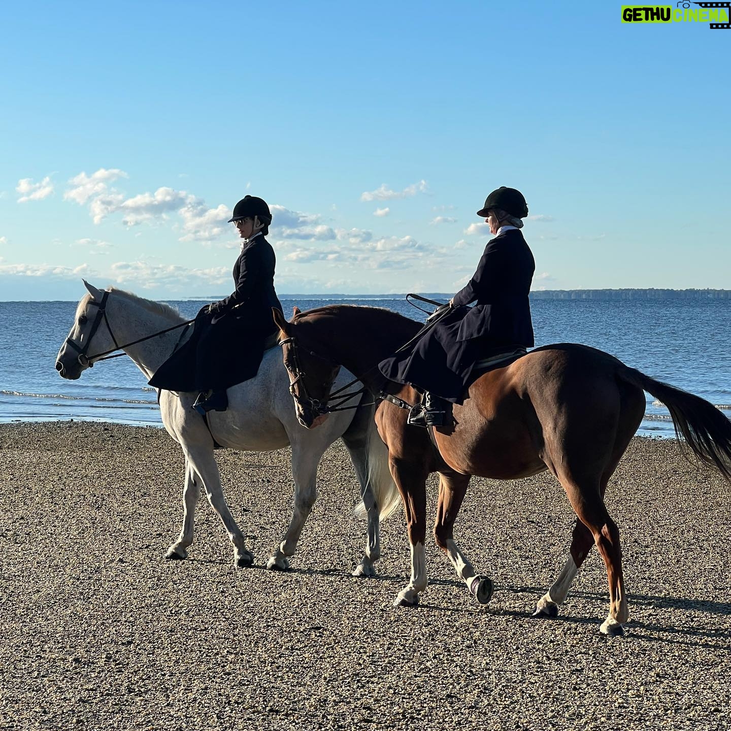 Dita Von Teese Instagram - Just came home from learning #sidesaddleriding in Maryland with @fencelinesart and Mister Bleu. Iβm a novice rider; I only started casually taking dressage lessons about ten years ago. Special thanks to #BeccaHolland for introducing me to Christina and her lovely family π and much admiration to all the #sidesaddle enthusiasts!