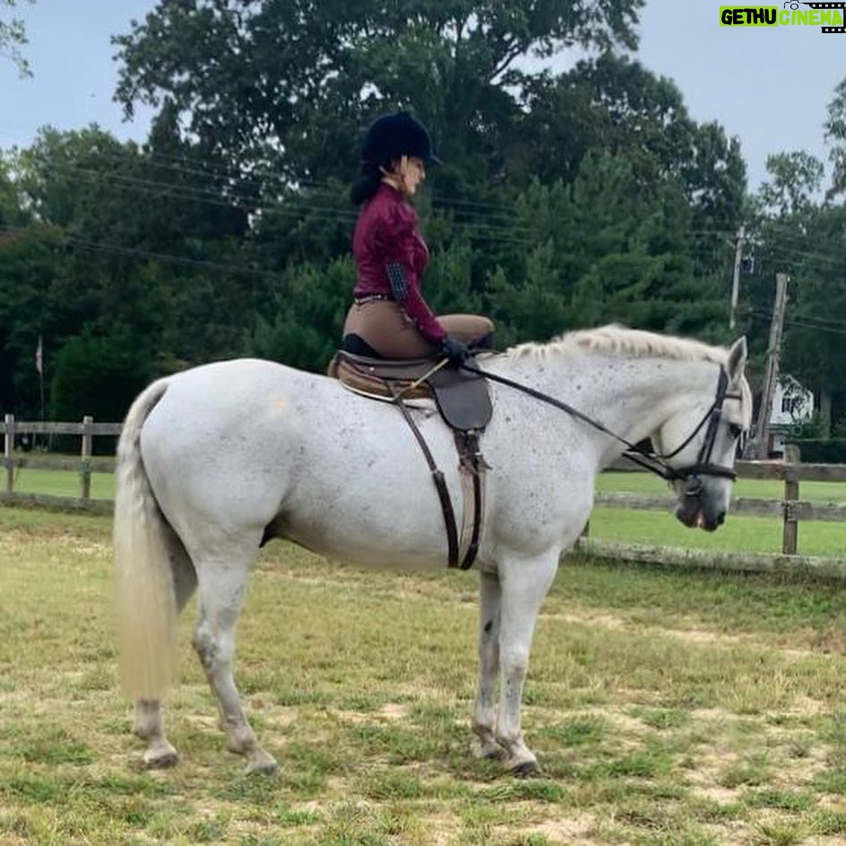Dita Von Teese Instagram - Just came home from learning #sidesaddleriding in Maryland with @fencelinesart and Mister Bleu. Iβm a novice rider; I only started casually taking dressage lessons about ten years ago. Special thanks to #BeccaHolland for introducing me to Christina and her lovely family π and much admiration to all the #sidesaddle enthusiasts!