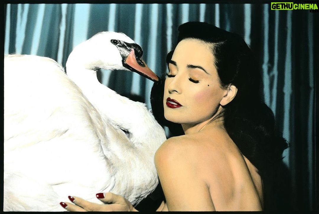 Dita Von Teese Instagram - #Reglam • @mryoussefnabil « Dita and Swan, Los Angeles, 2021 » @parisphotofair @galerieobadia @ditavonteese @lashify