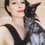 Dita Von Teese Instagram - Since it’s #nationalpetday here’s my favorite video with @aleistervonteese , my soul mate kitty for nearly 18 wonderful years. @berliozvonteese and @mademewsellevonteese and Alphonse Batrick are making their best efforts to fill his 🐾 #devonrex #devonrexcat #aleistervonteese