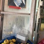Doğa Rutkay Instagram - Daha fazlasında hiiç gözümüz yok. Basit güzel bir hayat. İçinde sevgi olan, bol bol limon ağaçlı ve bol kahkahalı. Herkesin yaşamak istediği hakkı olan güzel yaşamak. Zor olacak tüm işleri bile kolayına almanın sırf niyeti bile yoluna koyuyor bir şeyleri… Kerimcan’la oyumuzu kullandık, Savaş abiden karpuz çilek ve patates aldık. Kalmış iki süs kabağını çocuklar için arabaya attık. Biraz kuş sesiyle şimdi eve dönüyoruz. 🫶🏻