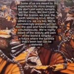 Dominique Jackson Instagram - Repost: @thehighpriestess11 Some of us are meant to experience life more deeply. We don’t just watch sunsets, we feel them. We don’t just feel the breeze, we hear the earth speaking to us. When others cry we cry too. We’re painstakingly present, yet can feel the past and future existing simulatneously. We’re highly aware of the beauty and pain of the world & long for a future where the balance that’s been lost can be restored. ❤️‍🔥🌹✨ #livehonestly #liveauthentic #tothineownselfbetrue #leadwithkindness #inmytruth