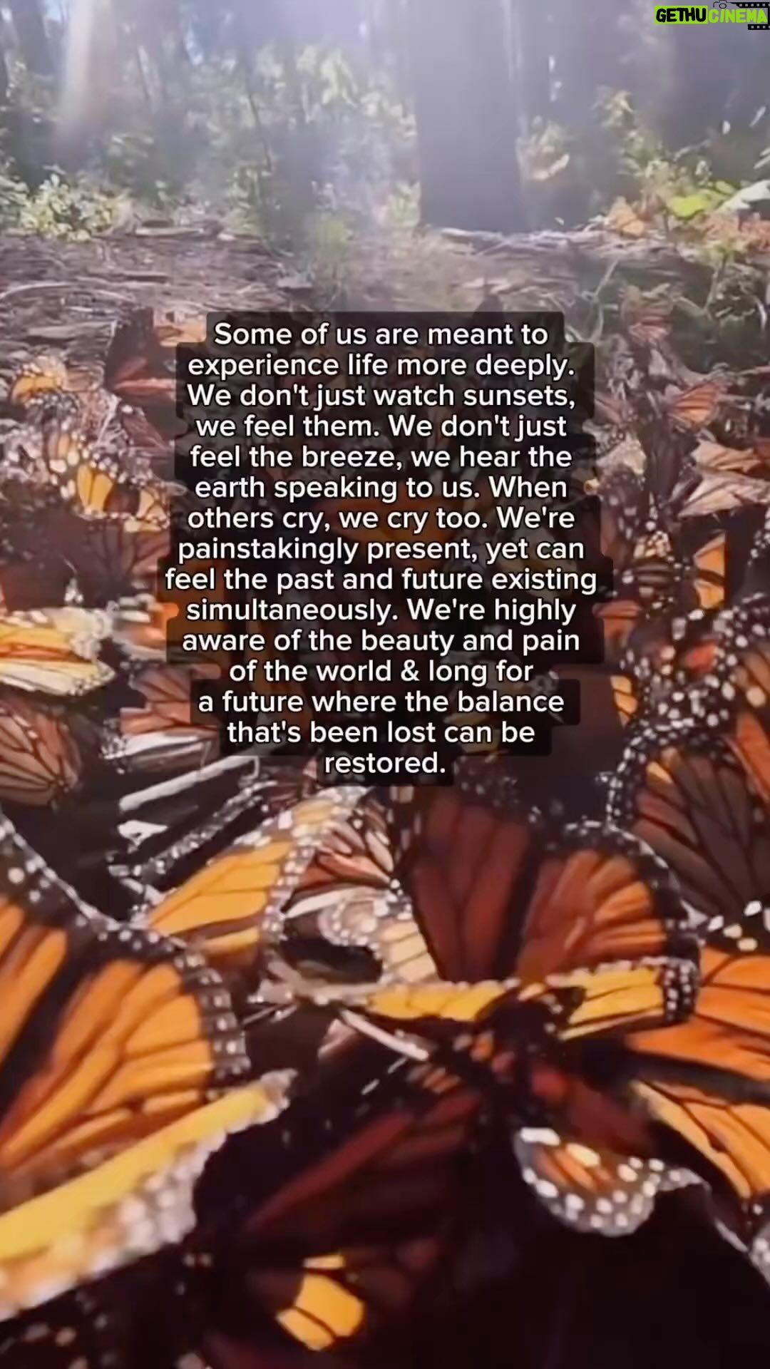 Dominique Jackson Instagram - Repost: @thehighpriestess11 Some of us are meant to experience life more deeply. We don’t just watch sunsets, we feel them. We don’t just feel the breeze, we hear the earth speaking to us. When others cry we cry too. We’re painstakingly present, yet can feel the past and future existing simulatneously. We’re highly aware of the beauty and pain of the world & long for a future where the balance that’s been lost can be restored. ❤️🔥🌹✨ #livehonestly #liveauthentic #tothineownselfbetrue #leadwithkindness #inmytruth