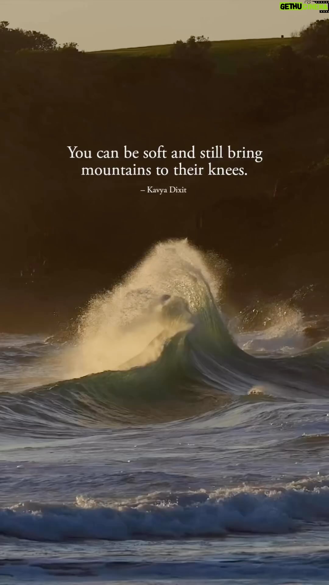 Dominique Jackson Instagram - Powerful! It’s ok to be me and still be a DYNAMIC FORCE! #livehonestly #liveauthentic #itsktobeyou #leadwithkindness #loveislove #tothinwownselfbetrue #happysunday 🥰🥰🥰🥰🥰🥰🥰🥰🥰🥰🥰🥰🥰🥰🥰🥰🥰🥰🥰 Repost: @words.and.roses Anyone who loves hard knows that nothing is stronger than softness. I love how humans embrace their flower-like heart. Everyday is a good day even if I'm at my worst, for my soul knows that storms need to pass and my faith is my shelter. There's so much to love, there's so much in you to be loved. I hope you tell people things that make their heart smile. I hope you try to listen to their silence to know what their laughter hides. 🌷 Video via @conorhegyi