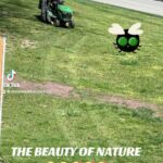 Dominique Jackson Instagram – They always skip this part in the “dreams” coming to reality 😂😂😂😂😂😂😂😂😂😂😂😂😂😂😂😂😂😂😂

Sending you all love 💕 
#livehonestly #liveauthentic #tractor #lawncare #bugs #bethejoyyouseek #findyourhappy #ifyouwantsomethingworkforit #makeaplanandsticktoit #tothineownselfbetrue #loveislove