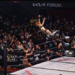Dori Prange Instagram - Actual footage of me jumping into my own bed for the first time in 12 days!