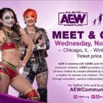 Dori Prange Instagram - Chicago Pals! Come hang out with us and raise money for an INCREDIBLY important cause! 💜 @cawc_chicago is committed to ending domestic violence. Using a self-help, empowerment approach, they provide a shelter for adults and children, counseling, advocacy, and a 24-hour hotline for people affected by domestic violence. If you are not from the area and you would like to donate directly the link is in my bio!