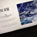 Doyoung Instagram – 이 마음이 뭔지 모르겠는 마음을 겪고 있네요. 
열정과 욕심만으로 가득차서 준비한 앨범인줄 알았는데 제가 앨범과 노래를 넘치게 사랑하기 까지 했나봐요. 
이 마음이 무언지는 모르겠지만 정말 이기적이게도 
더 이상 제가 앨범의 무언가를 할수 없다는 생각이 드니 왜 헛헛한 마음이 드는지 모르겠어요. 
하지만 정말 감사한건 이제 이 앨범은 저의 것만이 아니라 같이 고생한 우리 센터 직원분들과 시즈니들 모두의 앨범이 됐어요. 
제가 사랑한 만큼 부디 큰사랑을 주시기를 바라며 노래잘하기 위해 열심히 준비하고있을게요.