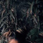 Dread Hot Instagram - MONSTER’S CARNIVAL da @feverfilm.s 🌙🌱