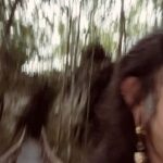 Dread Hot Instagram - Ainda sobre a Amazônia ☘️ 2/3