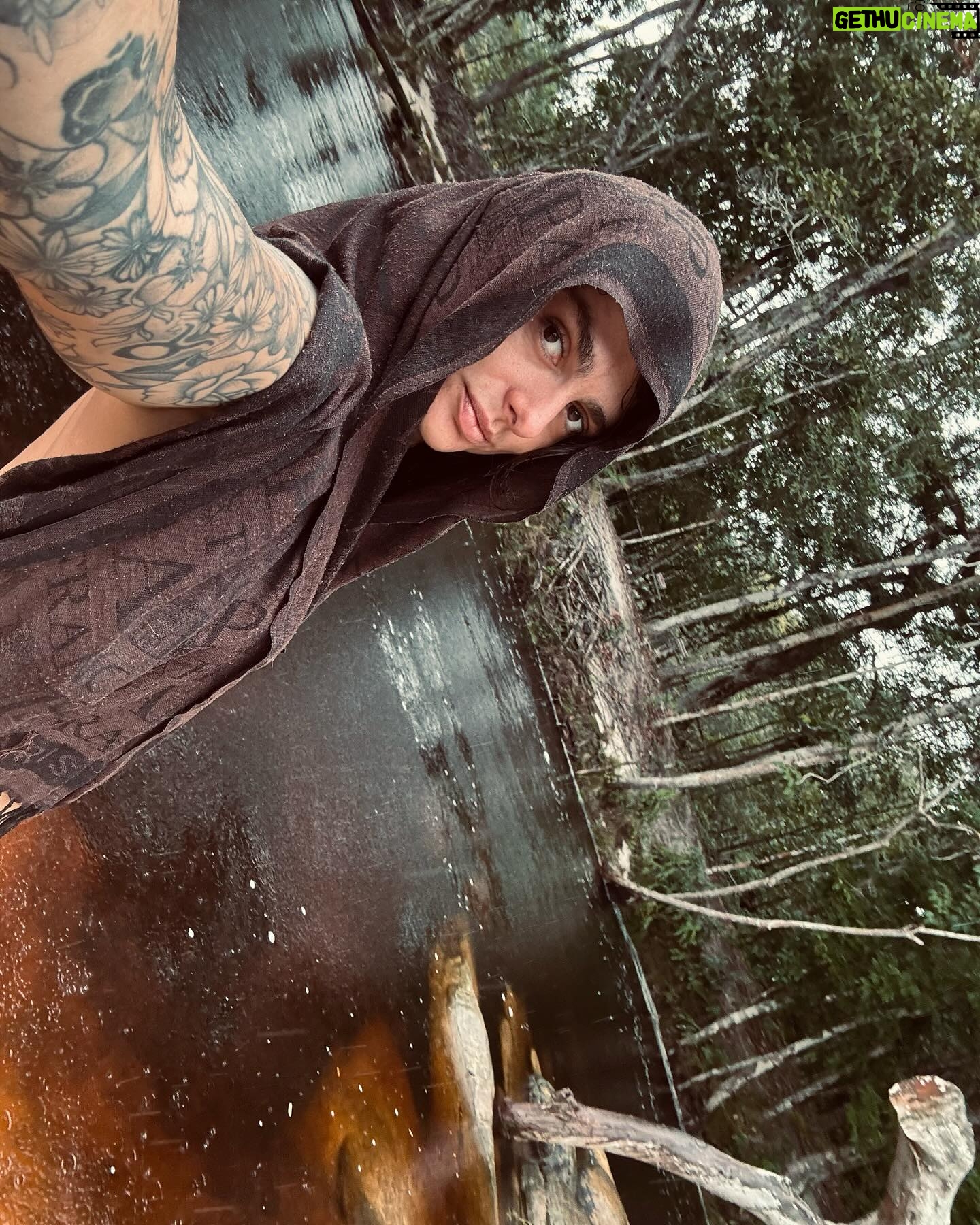 Dread Hot Instagram - Ainda sobre a Amazônia ☘️ 2/3