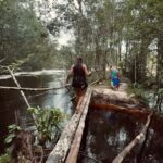 Dread Hot Instagram - Ainda sobre a Amazônia ☘️ 2/3