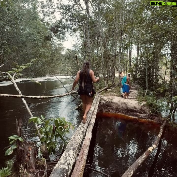 Dread Hot Instagram - Ainda sobre a Amazônia ☘️ 2/3