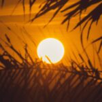Dudu Azevedo Instagram - A Vida é um oportunidade única ❤️ Texto da saudosa Gloria Maria