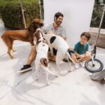 Dudu Azevedo Instagram - Memórias. Paginas da nossa história. Todo canto aqui em casa tem a gente. Incrível como os cachorros que eu tive me lembram momentos únicos. Dias inesquecíveis com meu pai, mãe, irmãos em cada casa, em cada fase da minha vida. O pé de carambola, o pé de tamarindo, a primeira vez que eu experimentei cada fruta dessa. Pinha/Fruta do Conde, Jaboticaba, Jamelão, Jambo, Pitanga… Flamengo(bairro), Atafona, Araruama, Piratininga… Aterro do Flamengo nos fins de semana, os escritórios que meu pai trabalhou, na Lapa, em Botafogo… Pizza da La Veronese de Ipanema, Feira Hippie com a minha mãe… Tenho tantas, mas tantas lembranças com meus pais… Criar memórias com meu filho, pequenas historias, momentos simples e únicos, tudo isso virou uma especie de deleite, de prazer imenso nos meus dias com ele. Bike, skate, instrumentos, cachorros, pé descalço, mergulho no mar, na piscina, picolé, assistir Parapentes e asas delta voando e descendo na praia… Eu sabia que seria maravilhoso, mas não pensava que fosse tanto! E só melhora!!