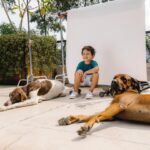 Dudu Azevedo Instagram - Memórias. Paginas da nossa história. Todo canto aqui em casa tem a gente. Incrível como os cachorros que eu tive me lembram momentos únicos. Dias inesquecíveis com meu pai, mãe, irmãos em cada casa, em cada fase da minha vida. O pé de carambola, o pé de tamarindo, a primeira vez que eu experimentei cada fruta dessa. Pinha/Fruta do Conde, Jaboticaba, Jamelão, Jambo, Pitanga… Flamengo(bairro), Atafona, Araruama, Piratininga… Aterro do Flamengo nos fins de semana, os escritórios que meu pai trabalhou, na Lapa, em Botafogo… Pizza da La Veronese de Ipanema, Feira Hippie com a minha mãe… Tenho tantas, mas tantas lembranças com meus pais… Criar memórias com meu filho, pequenas historias, momentos simples e únicos, tudo isso virou uma especie de deleite, de prazer imenso nos meus dias com ele. Bike, skate, instrumentos, cachorros, pé descalço, mergulho no mar, na piscina, picolé, assistir Parapentes e asas delta voando e descendo na praia… Eu sabia que seria maravilhoso, mas não pensava que fosse tanto! E só melhora!!