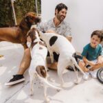 Dudu Azevedo Instagram - O caminho mais curto pra felicidade é ser de verdade, se conhecer, reconhecer, se aceitar, evoluir. Não olhar pra si, não querer se enxergar e não se reconhecer é a volta mais longa, lenta e contraproducente na vida de alguém. A honestidade, sem mascaras, sem subterfúgios, sem manipulação… O papo reto é o caminho. Crianças e cachorros dão aulas nessa matéria!!! Eu amo demais ❤️❤️❤️