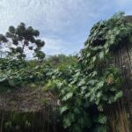 Dudu Azevedo Instagram – De todas as formas de encontrar com Deus que eu busco na vida, a Natureza é onde ele se manifesta mais poderosamente pra mim.
Onde eu estiver posso fechar os olhos e buscar esse encontro, mas na Natureza sua presença é poderosa e evidente. 
Procuro me equilibrar sempre na vida, pesquisando diariamente as doses do que eu preciso pra ficar bem, seja trabalhando, cumprindo com as minhas responsabilidades, pensando e estudando pra melhorar no que eu preciso, seja não fazendo nem pensando em nada, porque isso também é necessário. 
Gosto de gente mas valorizo a solitude, adoro ouvir musica e conversar, mas não sei viver sem o silencio. 
Minha conta fecha melhor quando 
consigo me equilibrar entre o que eu devo fazer e o que eu realmente preciso pra me sentir bem.