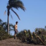Dudu Azevedo Instagram – As vezes é isolado que a gente encontra as melhores conexões.
Na medida certa a solitude será bem vinda. Muito barulho em volta, muita opinião, muita informação pode afastar as respostas.
Não é viver imerso em solidão, mas saber a hora de estar só e se sentir bem com isso.