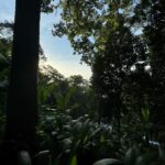 Dudu Azevedo Instagram - Como e onde começa e como termina seu dia, faz toda a diferença. Não há lugar melhor pra estar do que o lugar que você deseja. Nele você se fortalece, se organiza, se reconhece. Ta aí algo muito importante a ser construído.