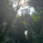 Dudu Azevedo Instagram – Sobre a realidade dos sonhos.
É preciso ter pés no chão pra sonhar, porque um sonho não cai do céu no nosso colo.
E se um dia algo cair, não terá sido sonho, mas sim uma sorte.
Eu acredito no caminho, ele é sagrado.
Chegar no ponto desejado não é a melhor parte. Bom mesmo é fazer durar com satisfação, felicidade e realização.

Essa fala é baseada no trecho de uma entrevista de Denzel Washington.