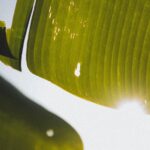 Dudu Azevedo Instagram - Apontar o dedo e distribuir culpa por aí é fácil, a gente vê uma porção fazendo isso. Buscar e encontrar um suposto culpado para as coisas é comum, mas também é feio demais! Tem gente que é viciada em culpa! Ou se culpa demais e vira escravo do que não tem que ser, ou culpa os outros por tudo, não assume seus barulhos. Com os pés no chão, honestidade e buscando a evolução, se auto observar é um exercício permanente, fundamental na caminhada. Não dá pra crescer mentindo pra si mesmo nem se eximindo das responsabilidades. Errou? Reconhece, se retrata e segue em frente. É justo, é o certo e é até mais bonito.