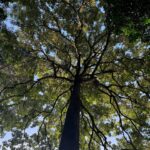 Dudu Azevedo Instagram - Como e onde começa e como termina seu dia, faz toda a diferença. Não há lugar melhor pra estar do que o lugar que você deseja. Nele você se fortalece, se organiza, se reconhece. Ta aí algo muito importante a ser construído.