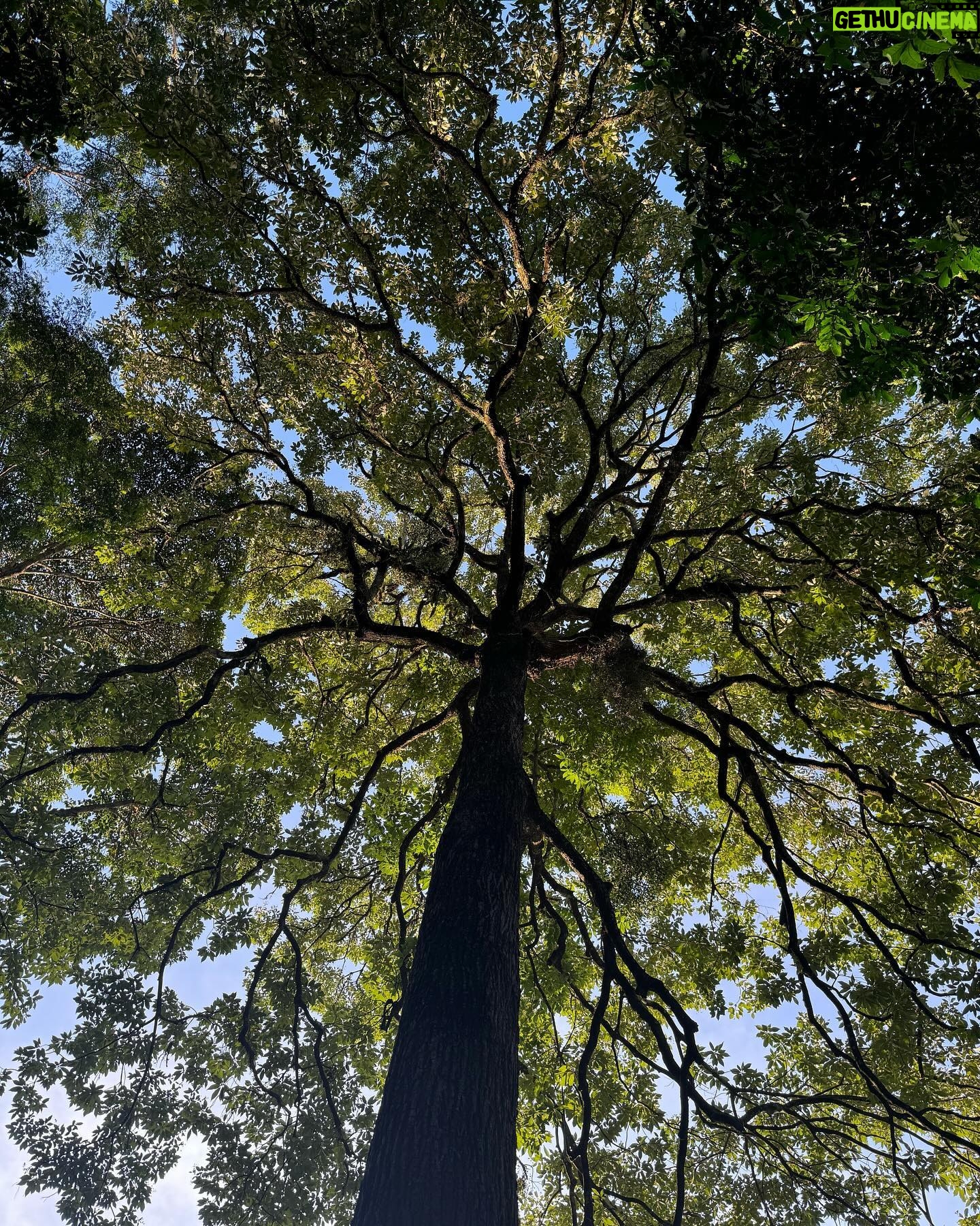Dudu Azevedo Instagram - Como e onde começa e como termina seu dia, faz toda a diferença. Não há lugar melhor pra estar do que o lugar que você deseja. Nele você se fortalece, se organiza, se reconhece. Ta aí algo muito importante a ser construído.