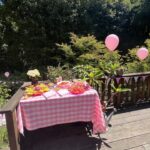 Dylan Mulvaney Instagram - My housewarming party 🏠🎀 Thank you to @danidazey for designing and @paladincreative for party planning! Miss honey cottage activated !!!