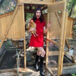 Dylan Mulvaney Instagram - found the perfect dress for my Austin trip on @renttherunway ! They’re now offering new plans with more items for the same price - which means you get even more options for a little bit of extra everyday. Use my code DYLANRTR for 40% off the 10 item plan!! #rtrpartner #eraofextra