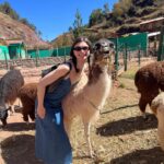 Dylan Mulvaney Instagram - “BIG PROB’LLAMA: Dylan Mulvaney flees to South America”- a real article title that I would’ve assumed was an snl sketch 🦙