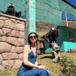 Dylan Mulvaney Instagram - “BIG PROB’LLAMA: Dylan Mulvaney flees to South America”- a real article title that I would’ve assumed was an snl sketch 🦙
