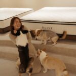 林莎 Instagram - 先睡飽，什麼事情都好談！ 帶大家認識我家新換上的床墊 🛏️🐻 來自「ÓLIVE自然睡眠計劃」，看這個實體店面～～每個角落都超美吧！！ 它們家有三款床墊：原創、綠洲、海洋，分別有著不同躺感與軟硬度。 一躺下去就確定了我的命定床墊「海洋」🌊 （我愛大海！！ 它是三款相比下最軟Q的，我的床尺寸是標準雙人我覺得軟硬度剛剛好，是我喜歡的包覆感與支撐度的平衡狀態，有試躺加大的會再軟一點，可能會直接睡到不想起床的那種(´∀｀) 好喜歡ÓLIVE帶來的平靜自然與溫度。 創辦人Addison與狗狗們66、大順、歐滴都活潑又可愛，還沒試躺床就先被療癒了一翻🤍 這個畫面就像是有一把能將雜訊一掃而空的小鑰匙，可以是一張床、一條棉被，躺下就能把自己歸零，回歸到最輕鬆的狀態。 ÓLIVE給我的感覺是簡單與堅持。 有意義的創造環保、永續的生活，除了選用對環境友善的材料，還有很棒的植樹計畫，是個值得預約前往門市深入認識的品牌。 對了～送來家裡的時候貼心的把舊床免費回收，ÓLIVE的床墊也都有提供180晚的試睡以及10年品質保固。 床啊，是需要認真的事呢。 @olive.mattress #試睡體驗 台北市信義區永吉路73號1樓 #olive #床墊 #olivemattress #deepsleepinnature #自然睡眠計劃