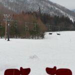 林莎 Instagram - 耶！！！！！ 玩到雪就心滿意足了～～ ♡ ⛄️