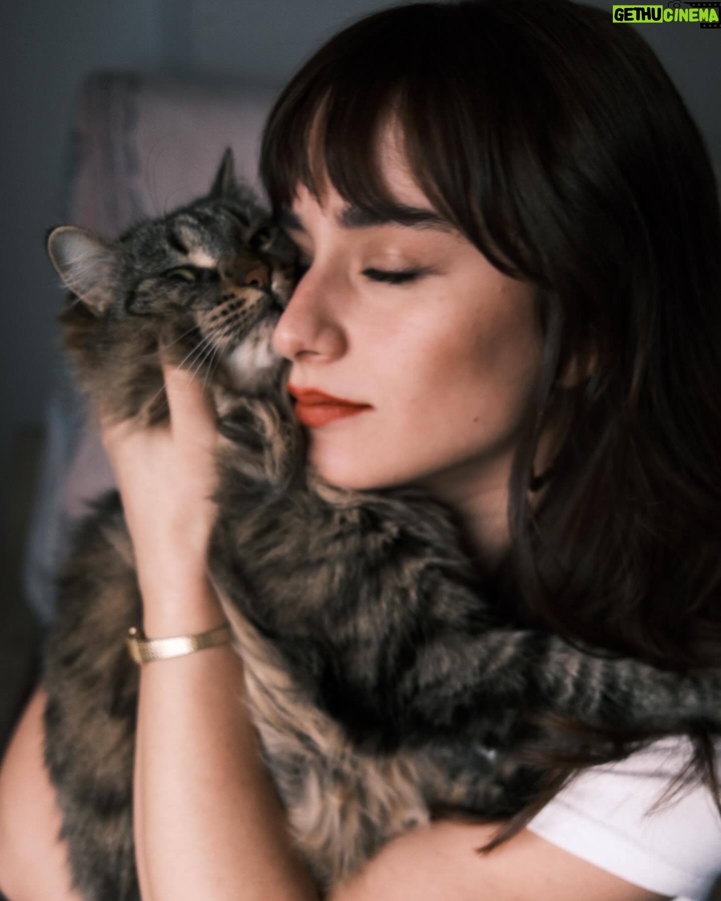 Ece Yaşar - 31.6K Likes - Sakın kedi çok mutsuz falan yazmayın :’)♥️ #çakılthecat